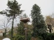 IMG_3534.jpg