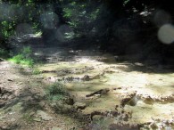 220602 Antheuil-007.jpg