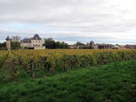 221015 Meursault-003.jpg 221015 Meursault-003.jpg